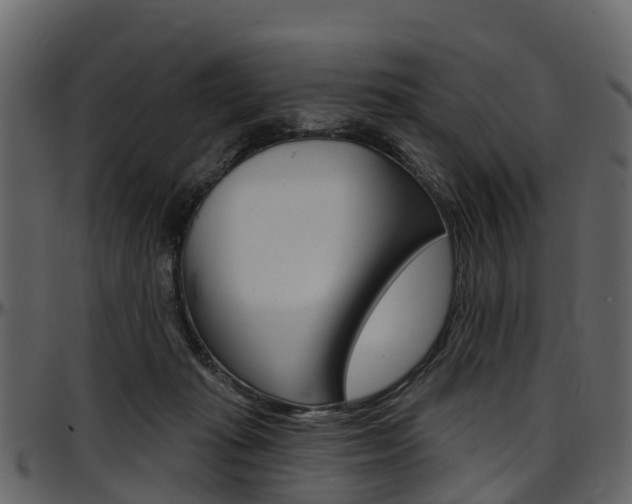 X0000097650269200802290854