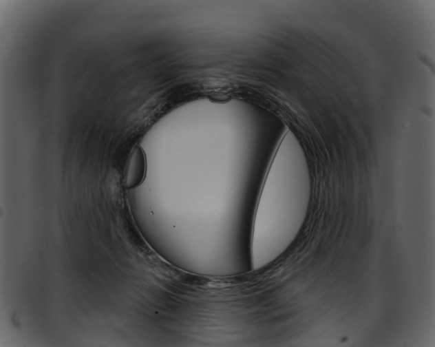X0000097650270200802290854