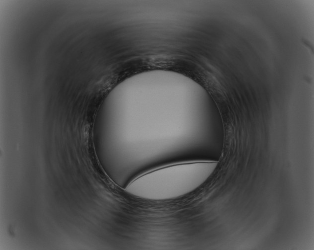 X0000097650271200802290854