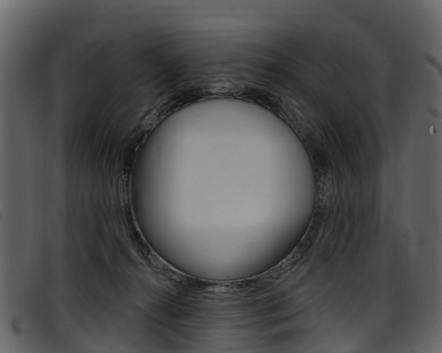 X0000097650272200802290854