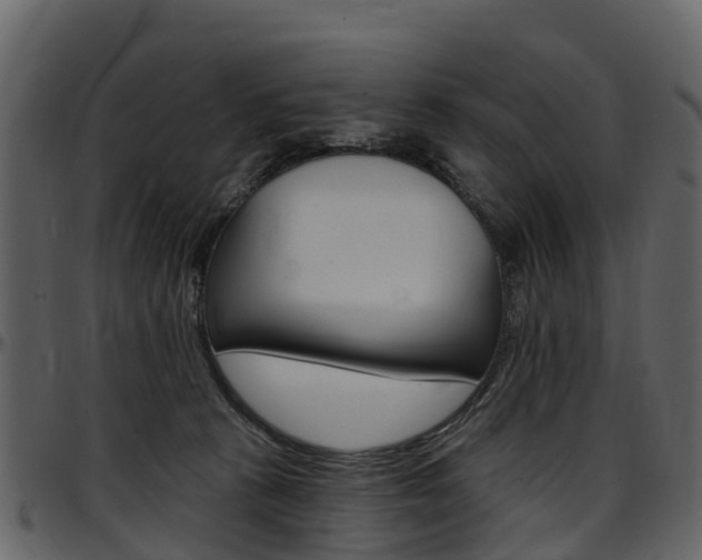 X0000097650273200802290854