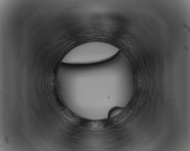 X0000097650275200802290854