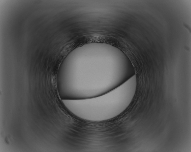 X0000097650276200802290854