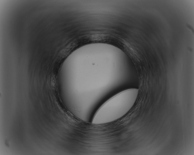 X0000097650277200802290854
