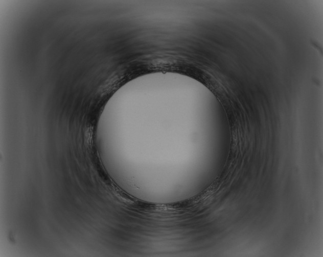 X0000097650278200802290854