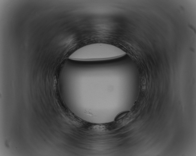 X0000097650279200802290854