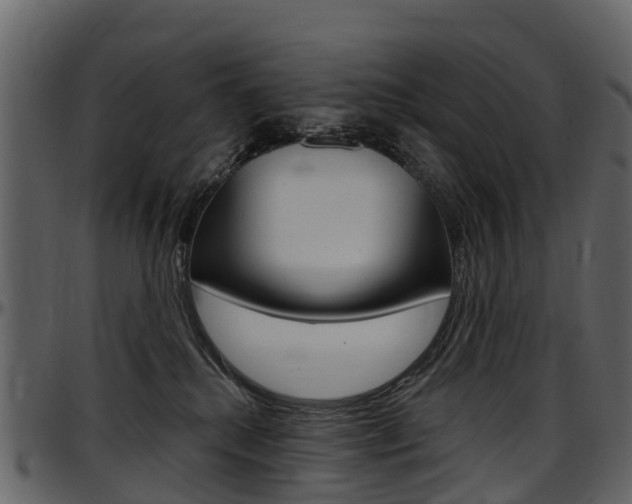X0000097650280200802290854