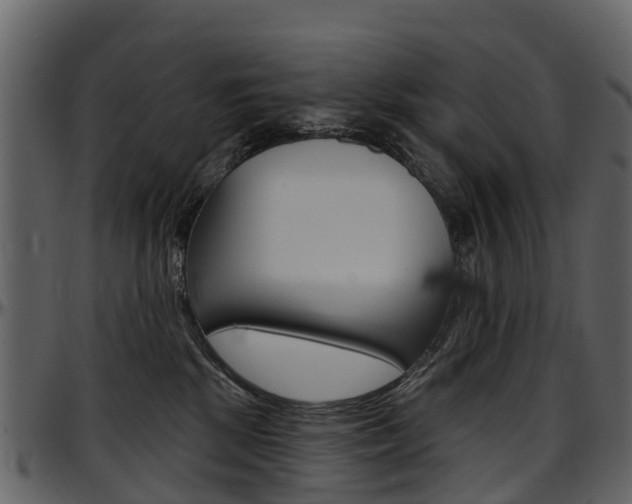 X0000097650281200802290854