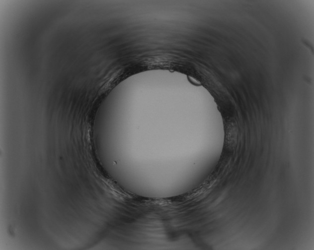 X0000097650282200802290854