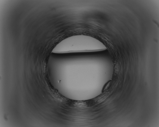 X0000097650283200802290854