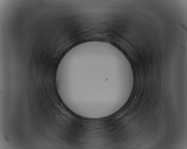 X0000097650284200802290854