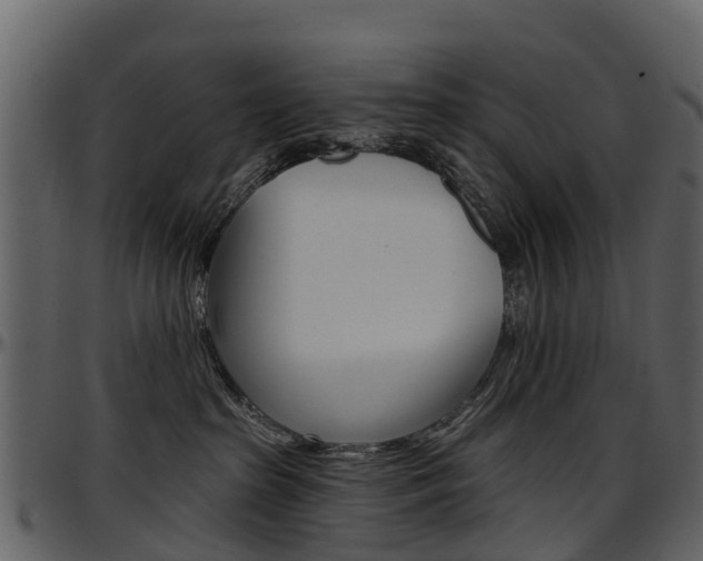 X0000097650285200802290854