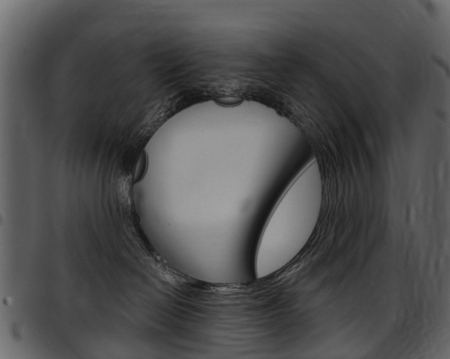 X0000097650286200802290854