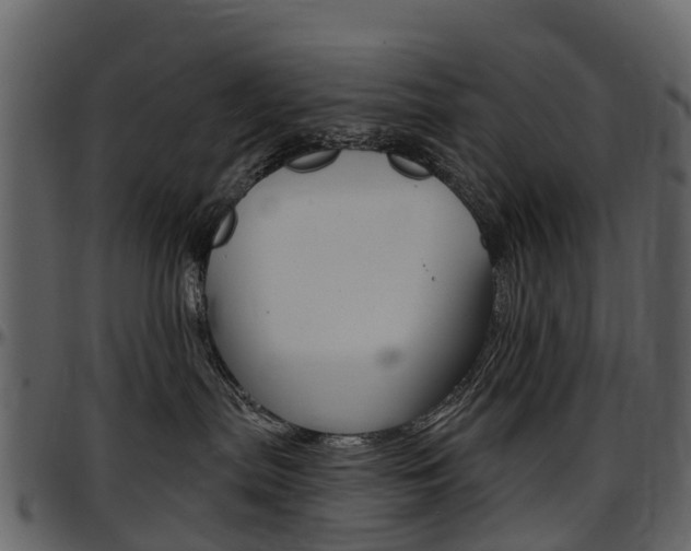 X0000097650287200802290854