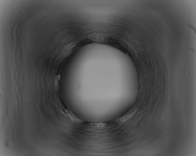 X0000097650288200802290854