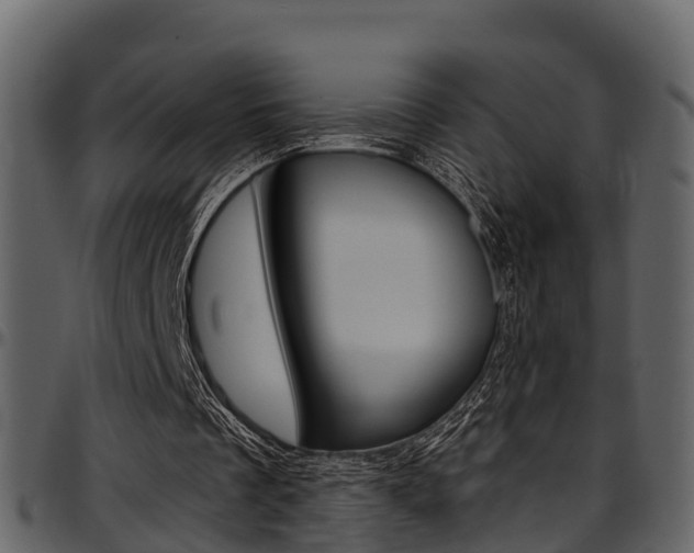 X0000097650289200802290853