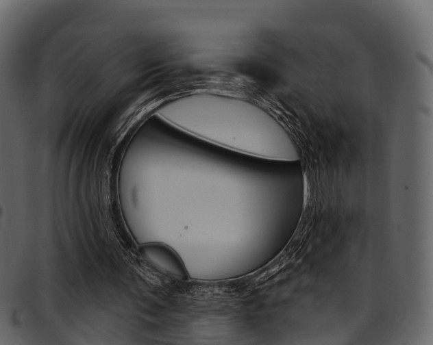 X0000097650291200802290853