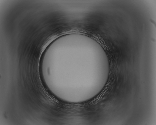 X0000097650292200802290853