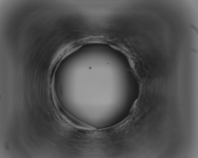 X0000097650293200802290853