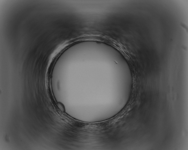 X0000097650294200802290853
