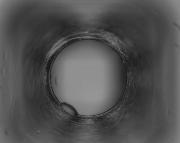 X0000097650295200802290853