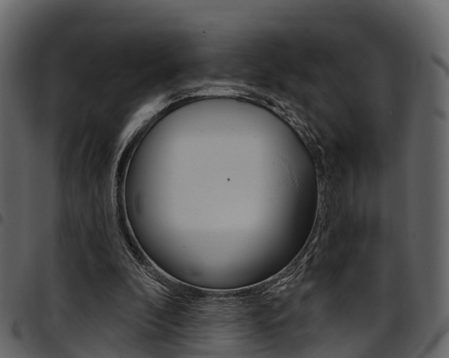 X0000097650296200802290853