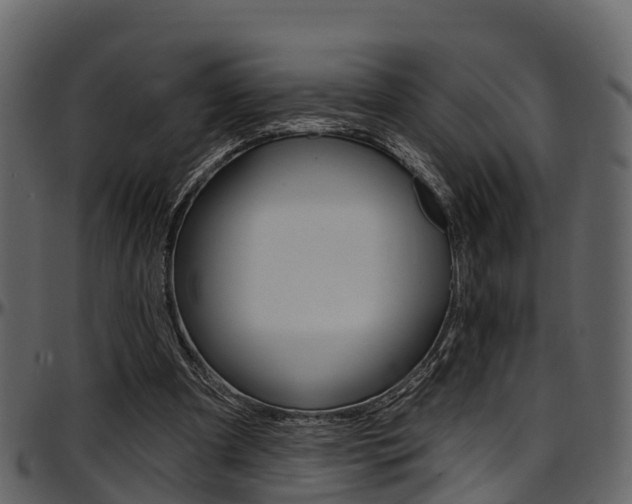 X0000097650297200802290853