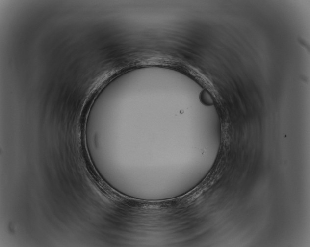 X0000097650298200802290853