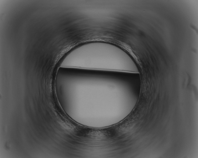 X0000097650299200802290853
