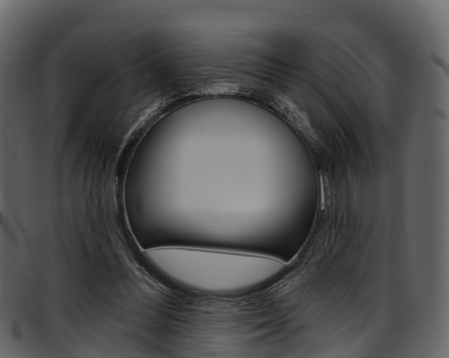X0000097650300200802290853