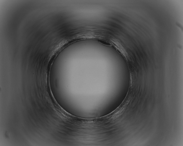 X0000097650301200802290853