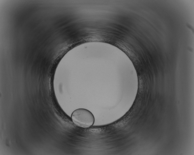 X0000097650302200802290853