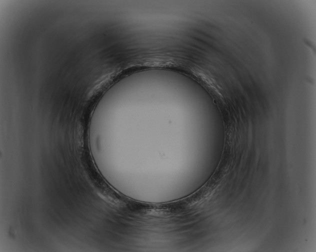 X0000097650303200802290853