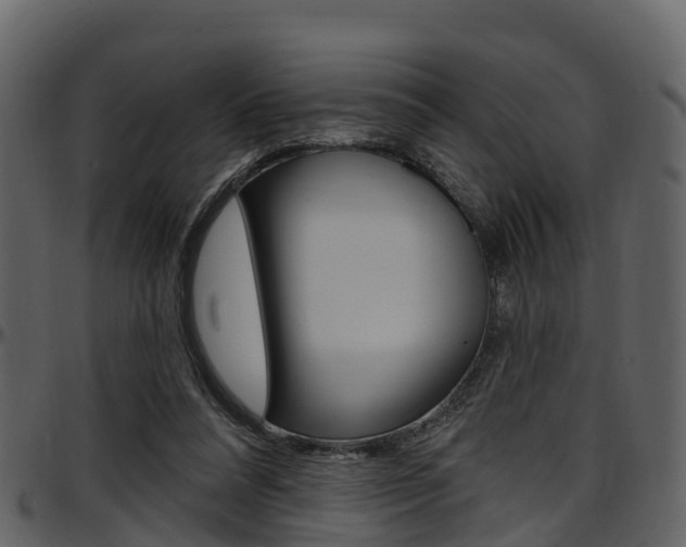 X0000097650304200802290853