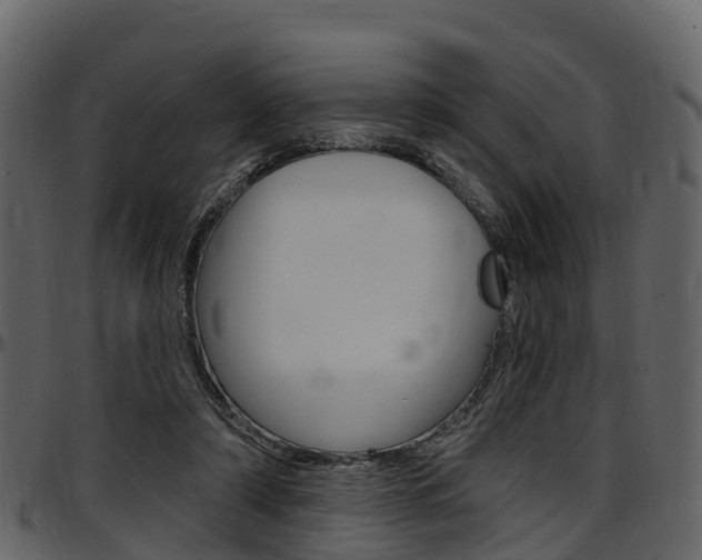 X0000097650306200802290853