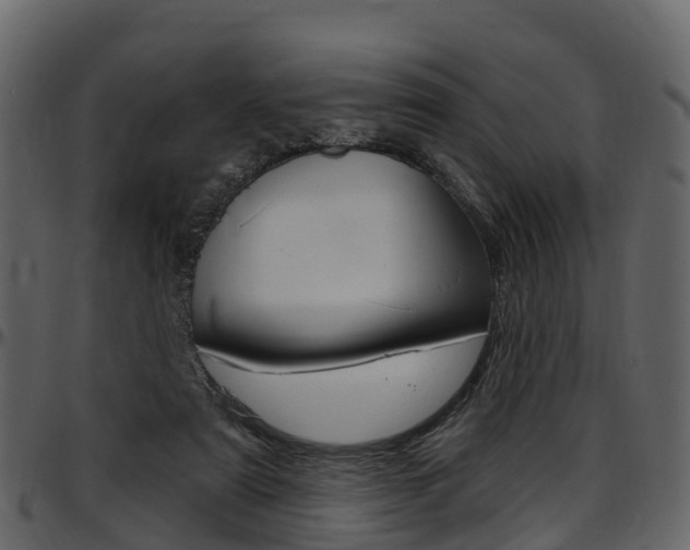 X0000097650307200802290853