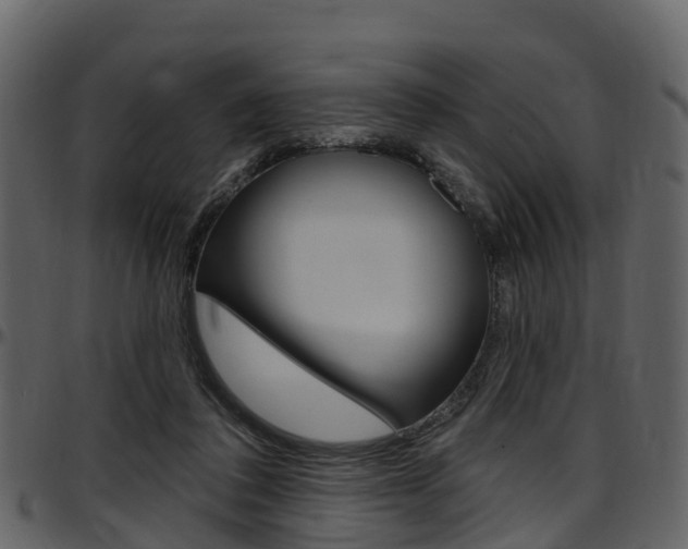 X0000097650308200802290853