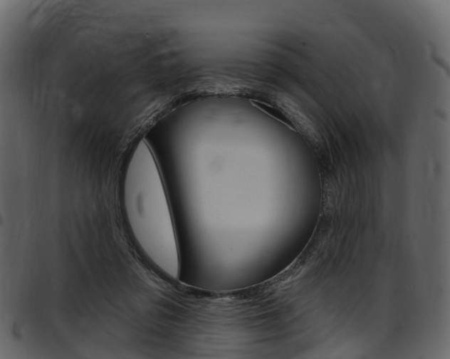 X0000097650309200802290853