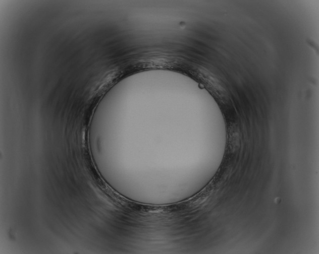 X0000097650310200802290853