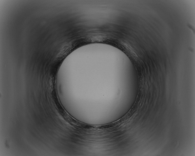 X0000097650311200802290853