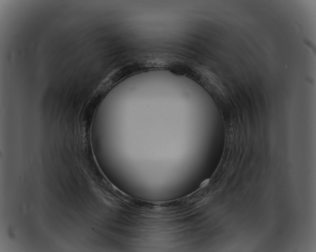 X0000097650312200802290853