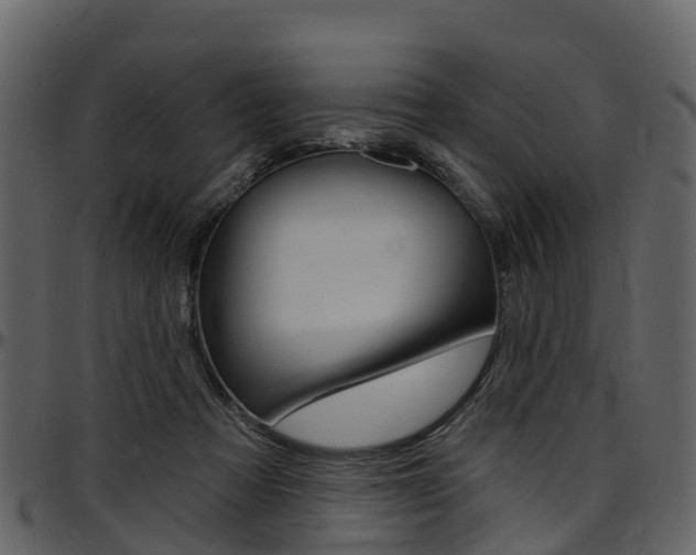 X0000097650313200802290853