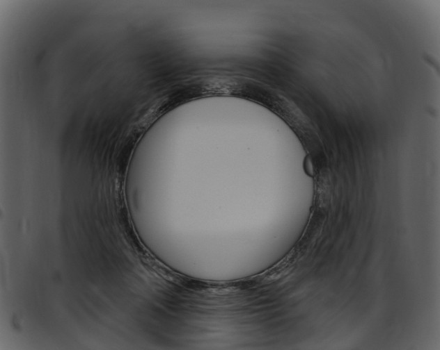 X0000097650314200802290853