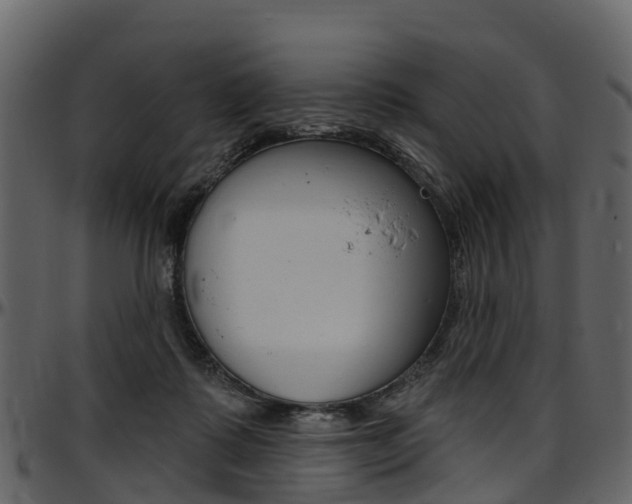 X0000097650315200802290853