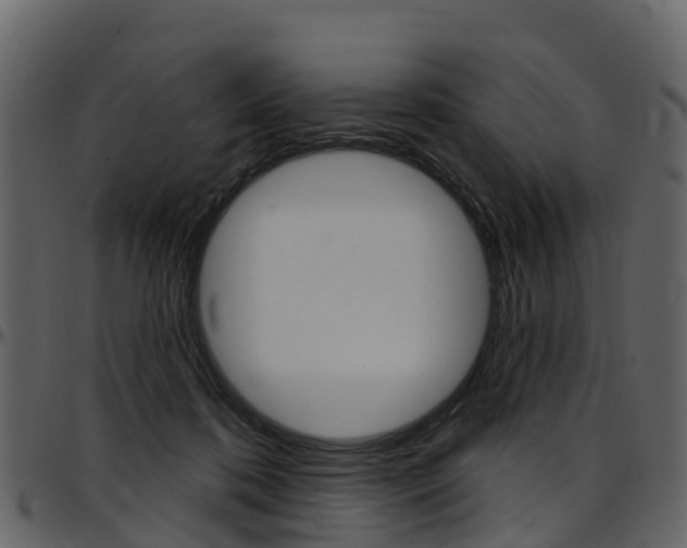 X0000097650316200802290853