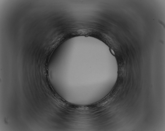 X0000097650317200802290853