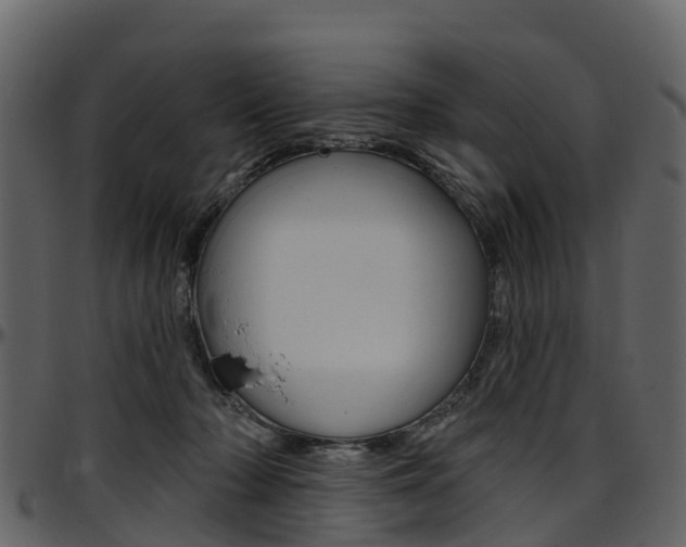 X0000097650318200802290853