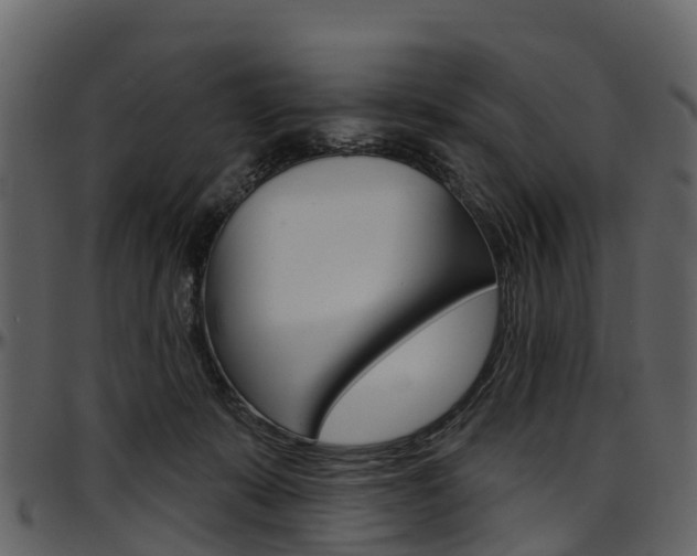 X0000097650319200802290853