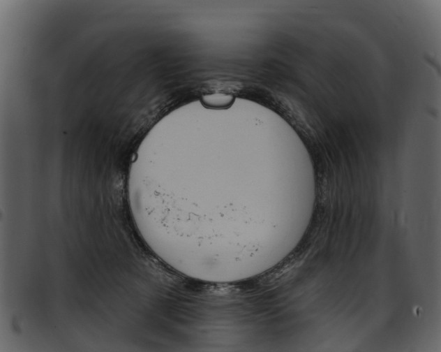 X0000097650321200802290853