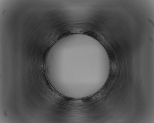 X0000097650322200802290853